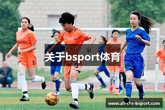 关于bsport体育